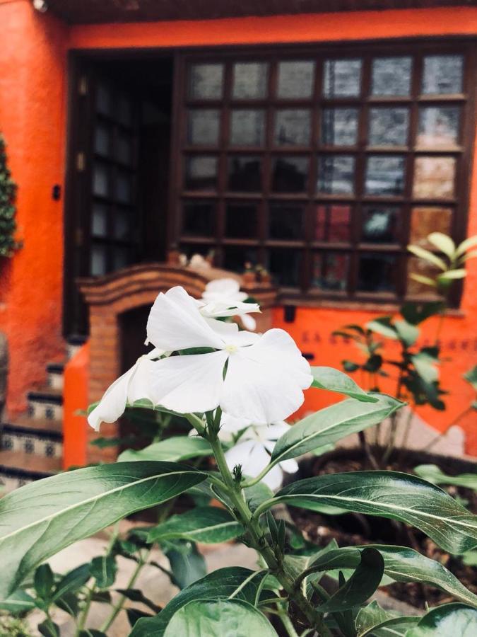Casa Azul Hotel กัวนาฮัวโต ภายนอก รูปภาพ